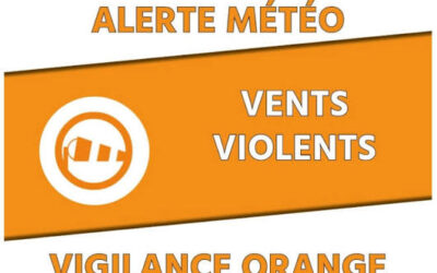 Vigilance Orange Vent Violent